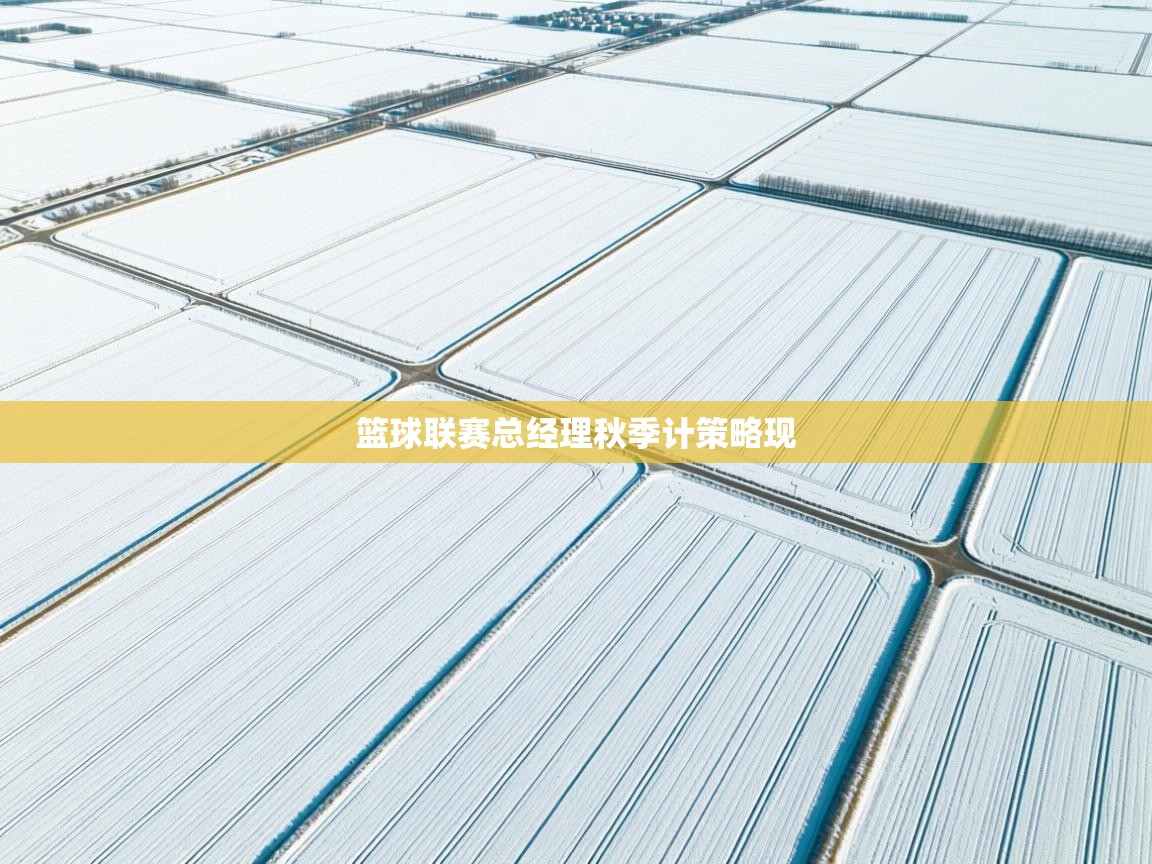 篮球联赛总经理秋季计策略现  第2张