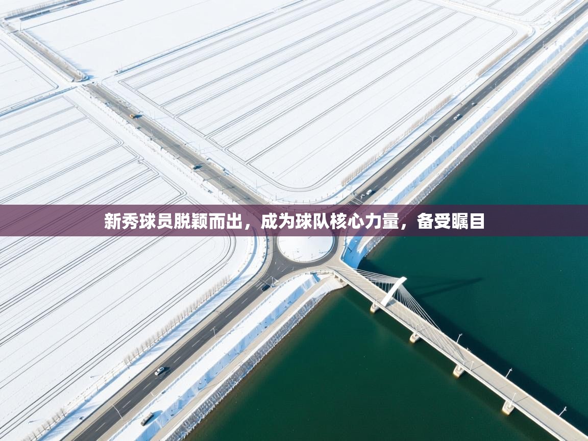 新秀球员脱颖而出，成为球队核心力量，备受瞩目  第1张